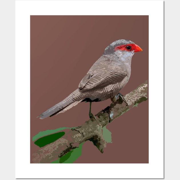 Common Waxbill or St Helena Waxbill Wall Art by NadJac